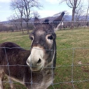 Meet your Posher, Bryan